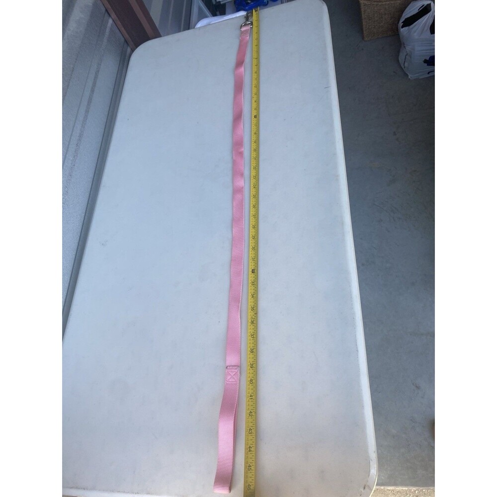 Pink Nylon Dog Leash 4 Foot Heavy Duty Webbing Metal Bolt Snap Lead 1" Wide